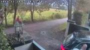 Driver crushed by electric gate.