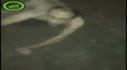 Naked junk goes crazy.