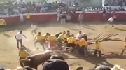 Bull cut a group of men