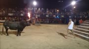 WTF:bull vs idiot (repost)