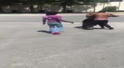 Blacks accuse a white dude of stealing, chase and beat him