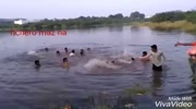 Man drowns while a religious ritual before the eyes of the companions