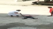 Woman goes crazy on the road