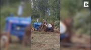 Survives Being Crushed By Tractor
