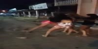 Latina girls fight turns into a violent beating