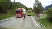 Truckdriver has great reflexes and good brakes.