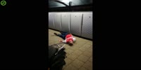 Dude falls on the back of his (nobrain) head.