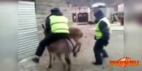 Failing COPS !! ....