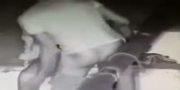 Rooftop lovers fail
