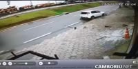 Dog leaves an accident scene
