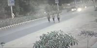 What a bunch of idiots