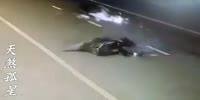 Spectacular fatal accident
