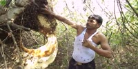 WTF way to collect honey !!! (repost)