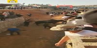 Bull suddenly goes mad and attacks people