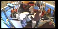 Bus fight Cali fornie