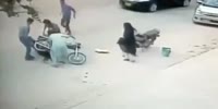 Burka Vs Motorcycle