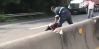 Road rage fight on the highway