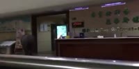 The bull escapes and enters a hospital