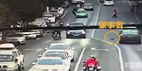 Small dog takes out a tricycle