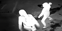 LOL: Thief Accidentally Knocks Partner Out