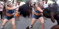 Great Cat Fight Has to End in Pepper Spray