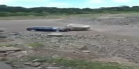 Heavy equipment operator nearly crushes vehicle with Large Stone!