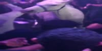 Horse Gets Rid Of A Stripper.