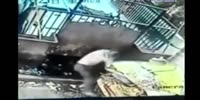 Worker falls in the waste compactor