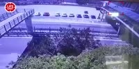 Dude falls on a moving car