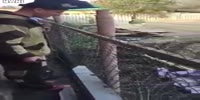SHOCKING VIDEO! (repost)