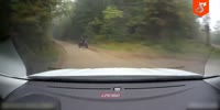 Fleeing rider gets run over by police car