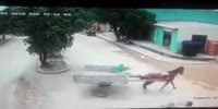 Rider slides under the cart killing himself