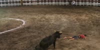 Bull dominates skinny Spaniard
