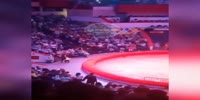 Huge ostrich attacks circus visitors