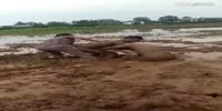 Workers try to fight in the deep mud