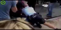 Slapping a cop is a bad idea