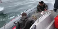 Coast Guard VS poachers