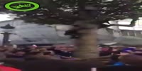 Treejump fail !!