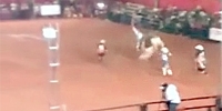 Bull Scores Kill at the Rodeo