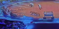 Lion fights a tiger in Moscow circus
