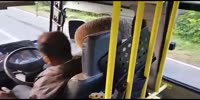 Elephant robs the bus in Sri Lanka