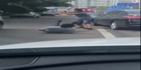 Baseball bat involved in a Chinese road rage fight