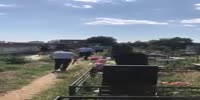 Bunch of cops VS a cemetery thief