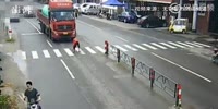 Woman saving a dog gets knocked by the truck