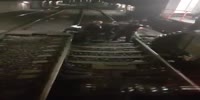 Thief fights cops on the subway tracks
