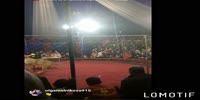 Lion attacks a girl in Russian circus