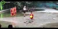 Show with crocodile goes very wrong!