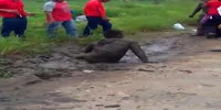 Drunks fight in the mud