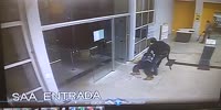 Robber Accidentally Shoots Partner