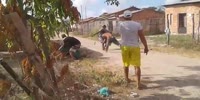 Favela sicks fight after a Cop kills a local thug